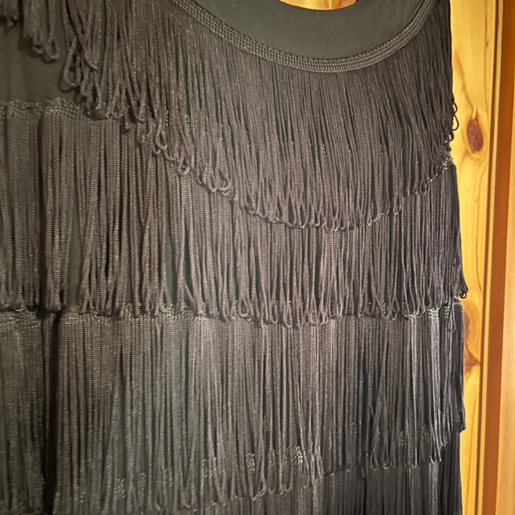 Roaring 20s fringed flapper dress! - Picture 3 of 7